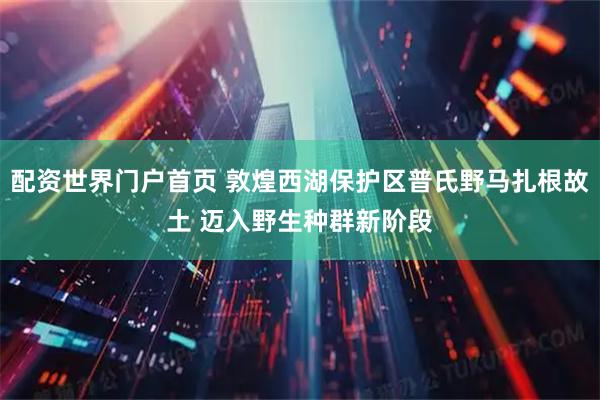 配资世界门户首页 敦煌西湖保护区普氏野马扎根故土 迈入野生种群新阶段