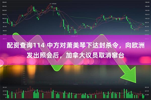 配资查询114 中方对萧美琴下达封杀令，向欧洲发出照会后，加拿大议员取消窜台